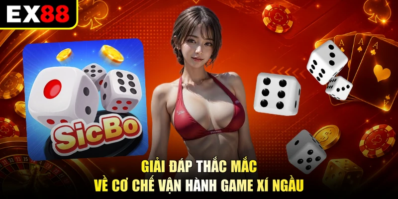 Giải đáp thắc mắc về cơ chế vận hành game xí ngầu