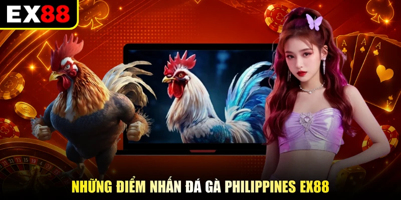Những điểm nhấn đá gà Philippines EX88