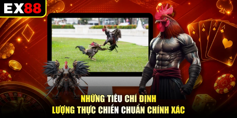 Những tiêu chí định lượng thực chiến chuẩn chính xác