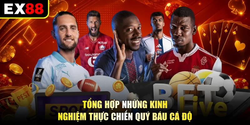 Tổng hợp những kinh nghiệm thực chiến quý báu cá độ